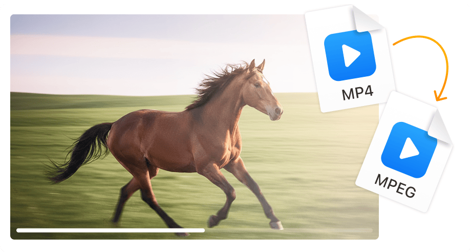 Perfekt für DVD-Authoring