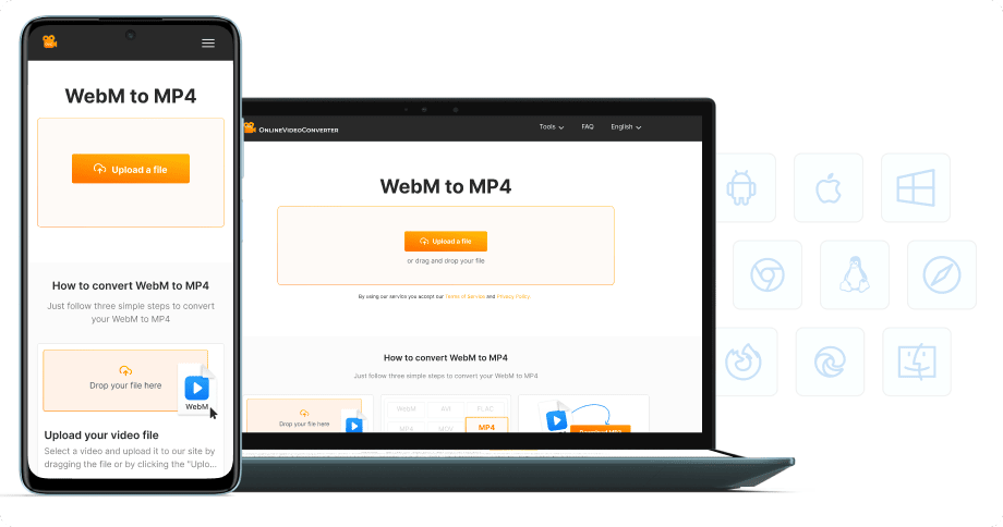 Keine Software-Installation